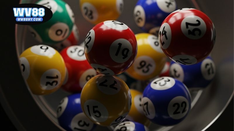 Nuôi song thủ lô khung 5 ngày – Chiến thuật bền vững hiệu quả